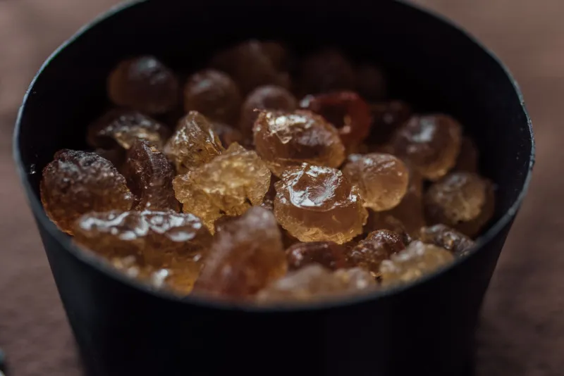 Do Cristal ao Orgânico: Tudo o Que Você Precisa Saber para Escolher o Açúcar Certo na Cozinha
